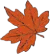 A maple leaf